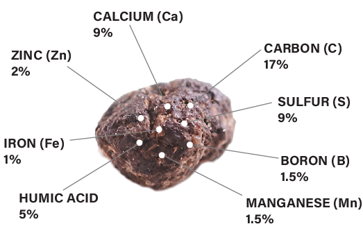 Nutrient Breakdown