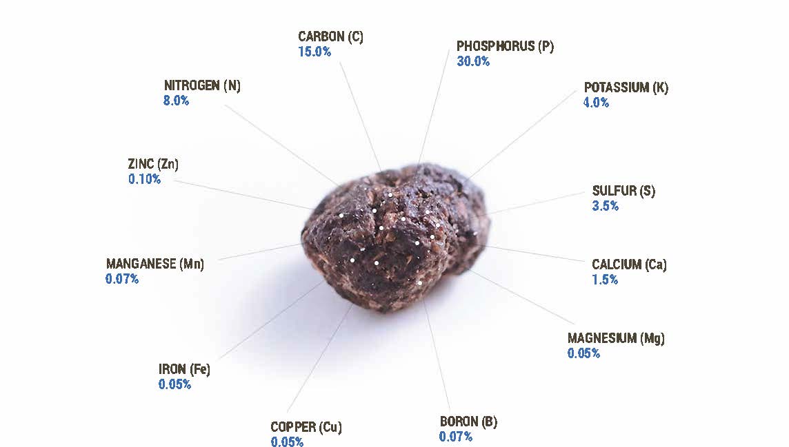 Nutrient Breakdown